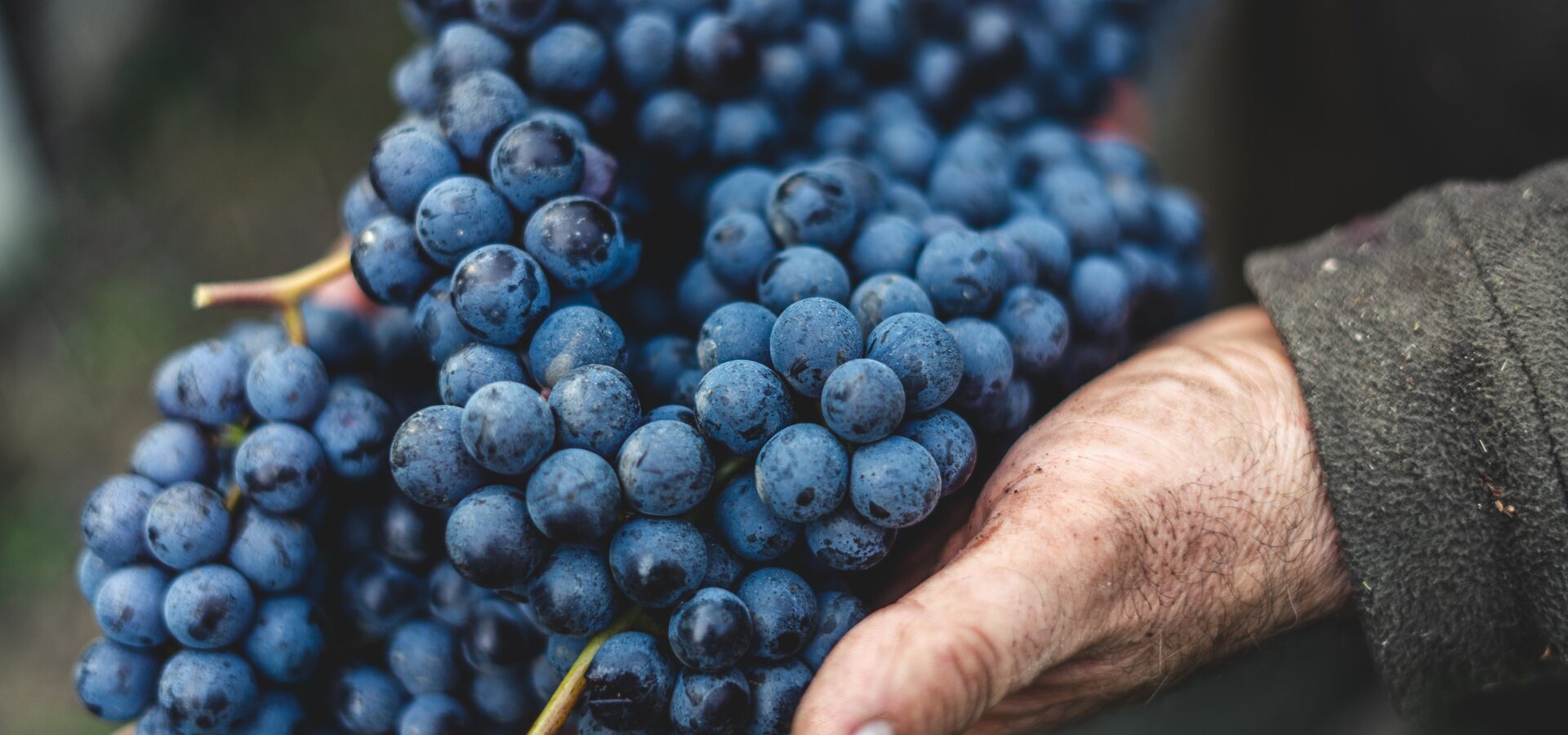 Hadith i Trilluar: Plaka e Shkretëtirës